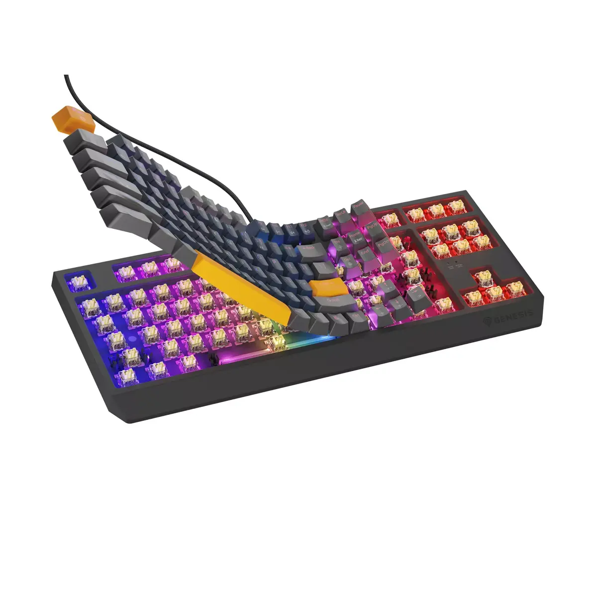 Клавиатура GENESIS THOR 230 TKL Photo 5
