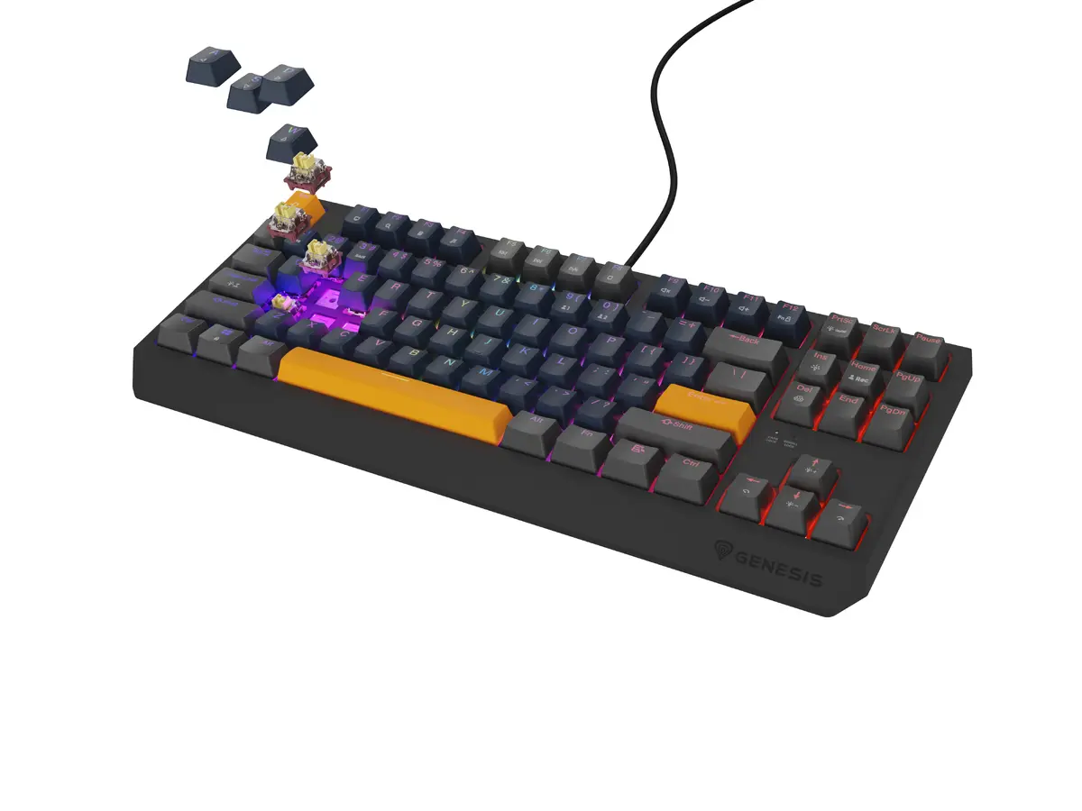 Механическая игровая клавиатура GENESIS Thor 230 TKL Photo 3