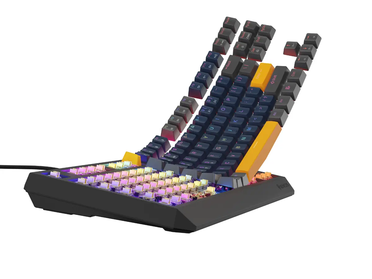 Механическая игровая клавиатура GENESIS Thor 230 TKL Photo 8