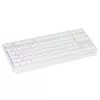 GENESIS Thor 230 TKL tenkeyless игровая клавиатура Photo 2