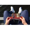 Логическая игра recent toys The Waiter’s Tray C5061 Photo 4