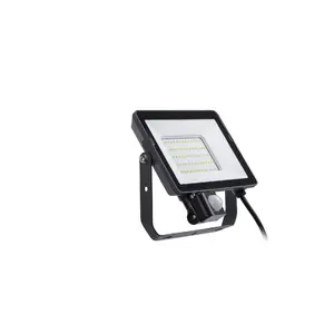 Floodlight Philips LED 50 W 4000 K IP65 Black — outdoor LED floodlight, 50 W, neutral white
