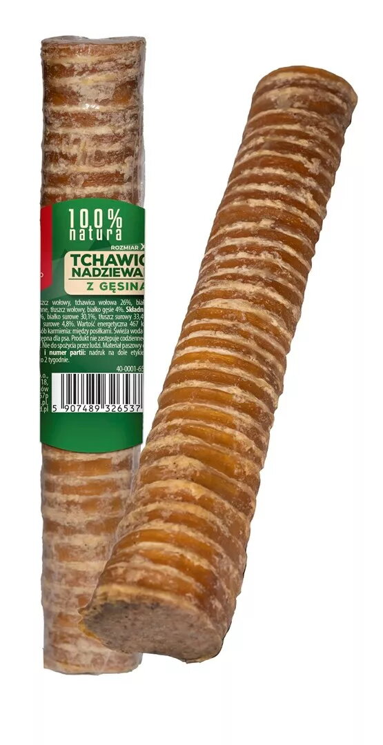 Suņu kodums MACED Traheja pildīta ar