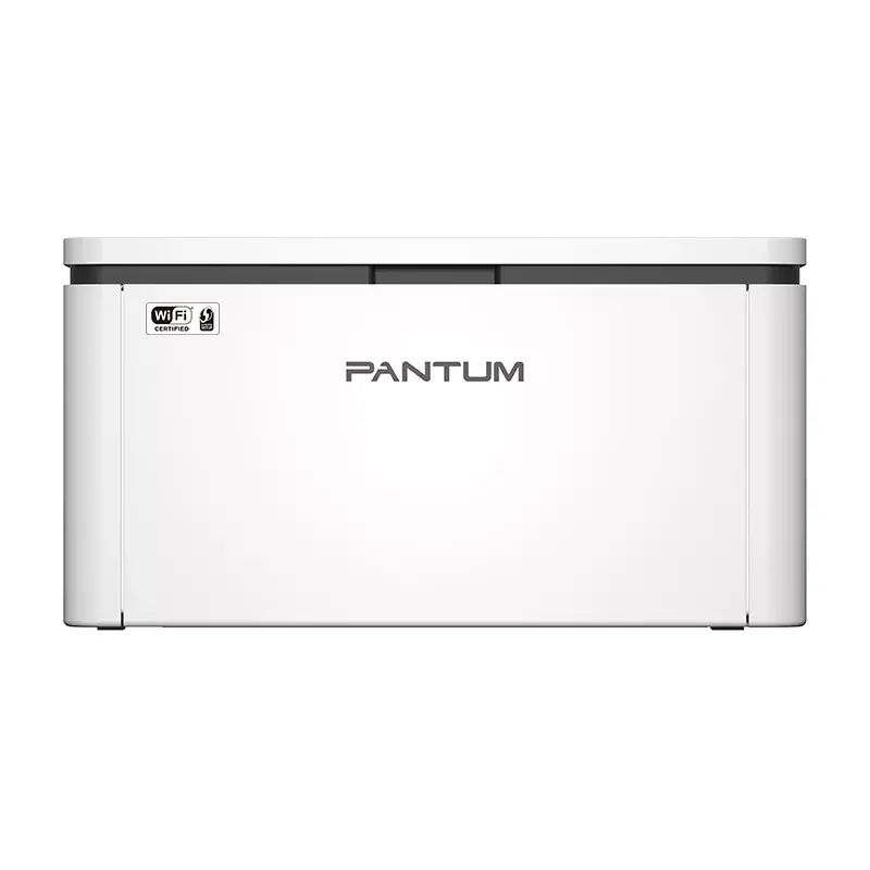 Принтер Pantum BP2300W Photo 2