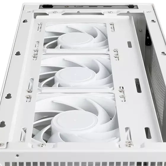 PC case Silverstone SST-SG17W Photo 9