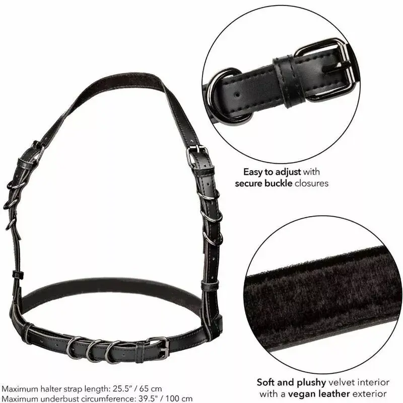 Портупея California Exotics Euphoria Halter Buckle Photo 5