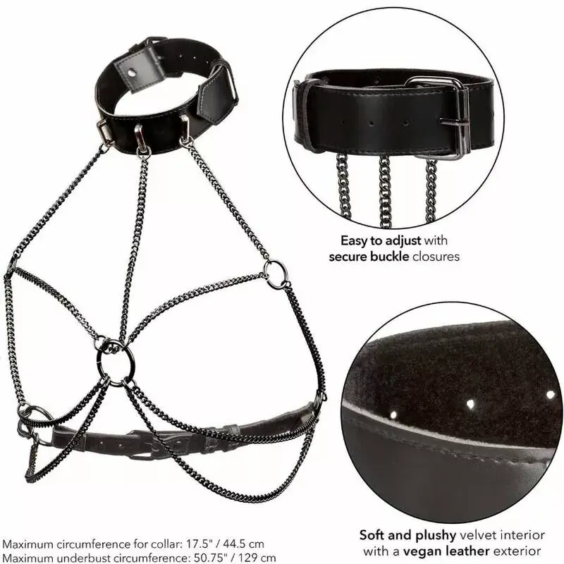 Collar Harness California Exotics Euphoria Plus Size Photo 5