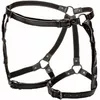 Thigh Harness California Exotics Euphoria Plus Size D-239251 Photo 4