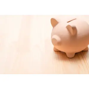EcoMode