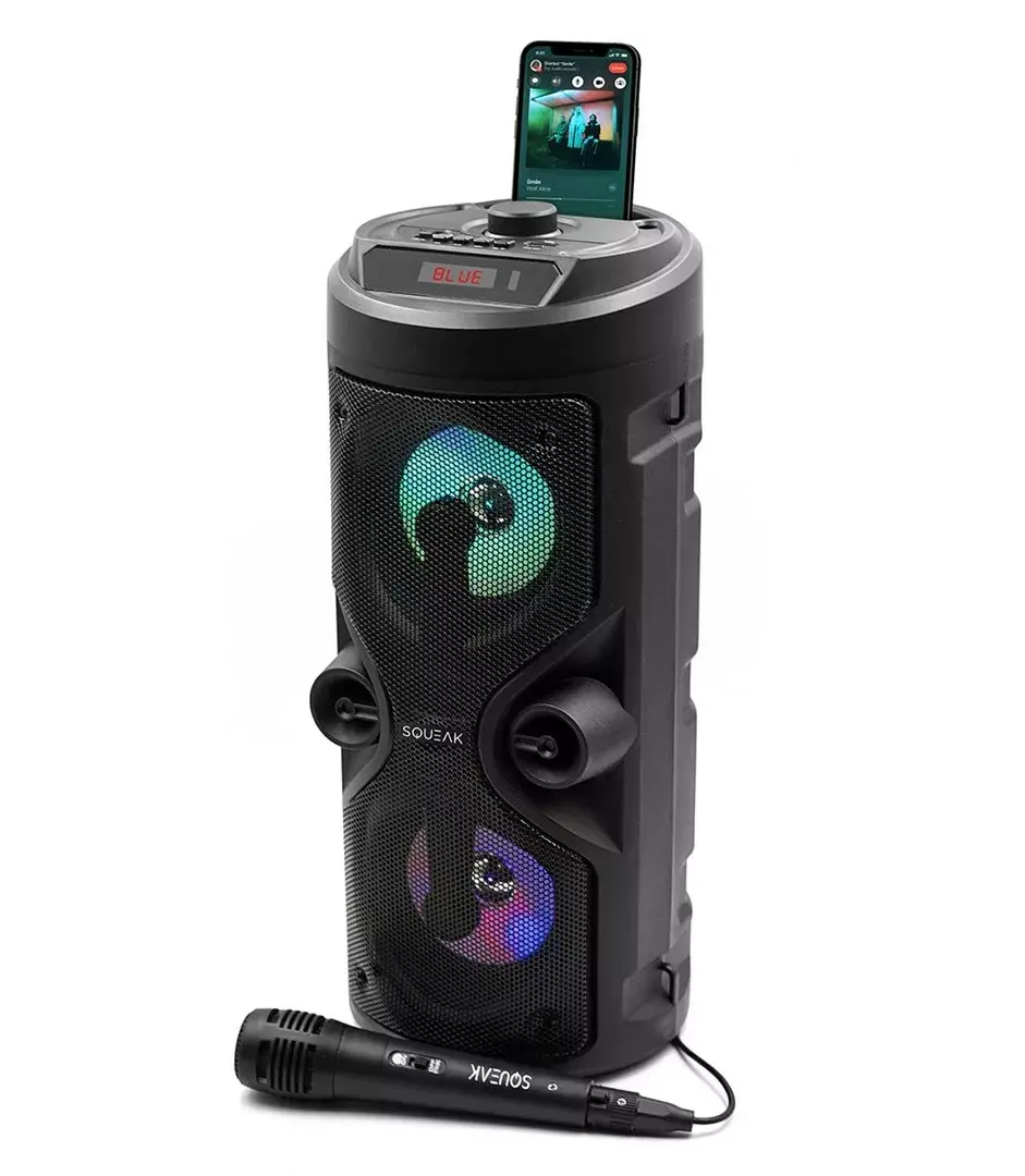 SQUEAK SQ1004 Harmony portable speaker 40W Photo 5