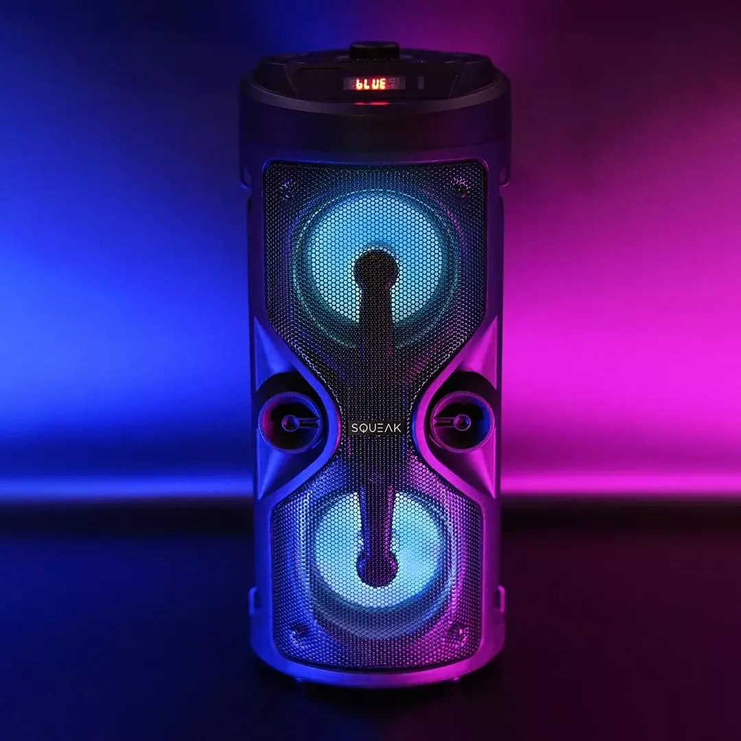 SQUEAK SQ1004 Harmony portable speaker 40W Photo 7