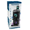 SQUEAK SQ1004 Harmony portable speaker 40W Photo 10