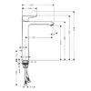 Jaucējkrāns Hansgrohe Metris 31082000 Photo 6