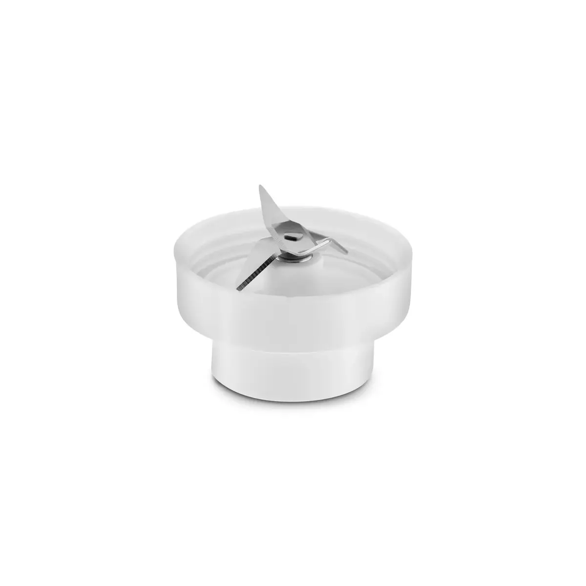 Blenderis Zelmer ZHB4555S Photo 4