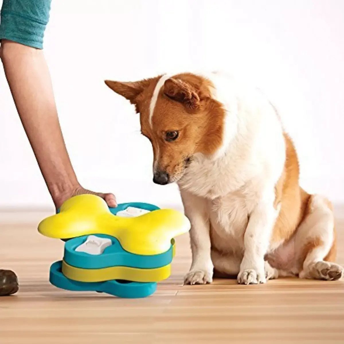 Outward Hound Tornado — интерактивная игрушка-головоломка Photo 2
