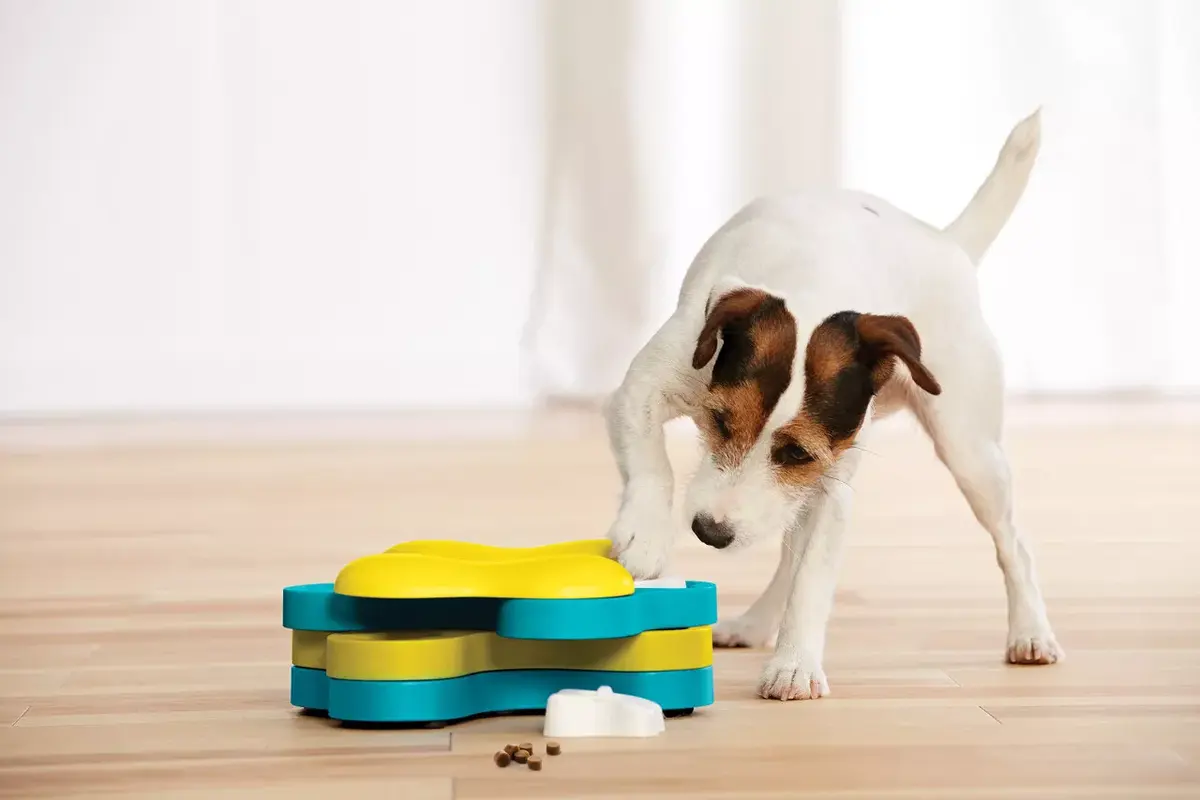 Outward Hound Tornado — интерактивная игрушка-головоломка Photo 3
