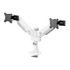 Galda monitora statīvs Neomounts DS65S-950WH2 Photo 3