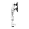 Galda monitora statīvs Neomounts DS65S-950WH2 Photo 4