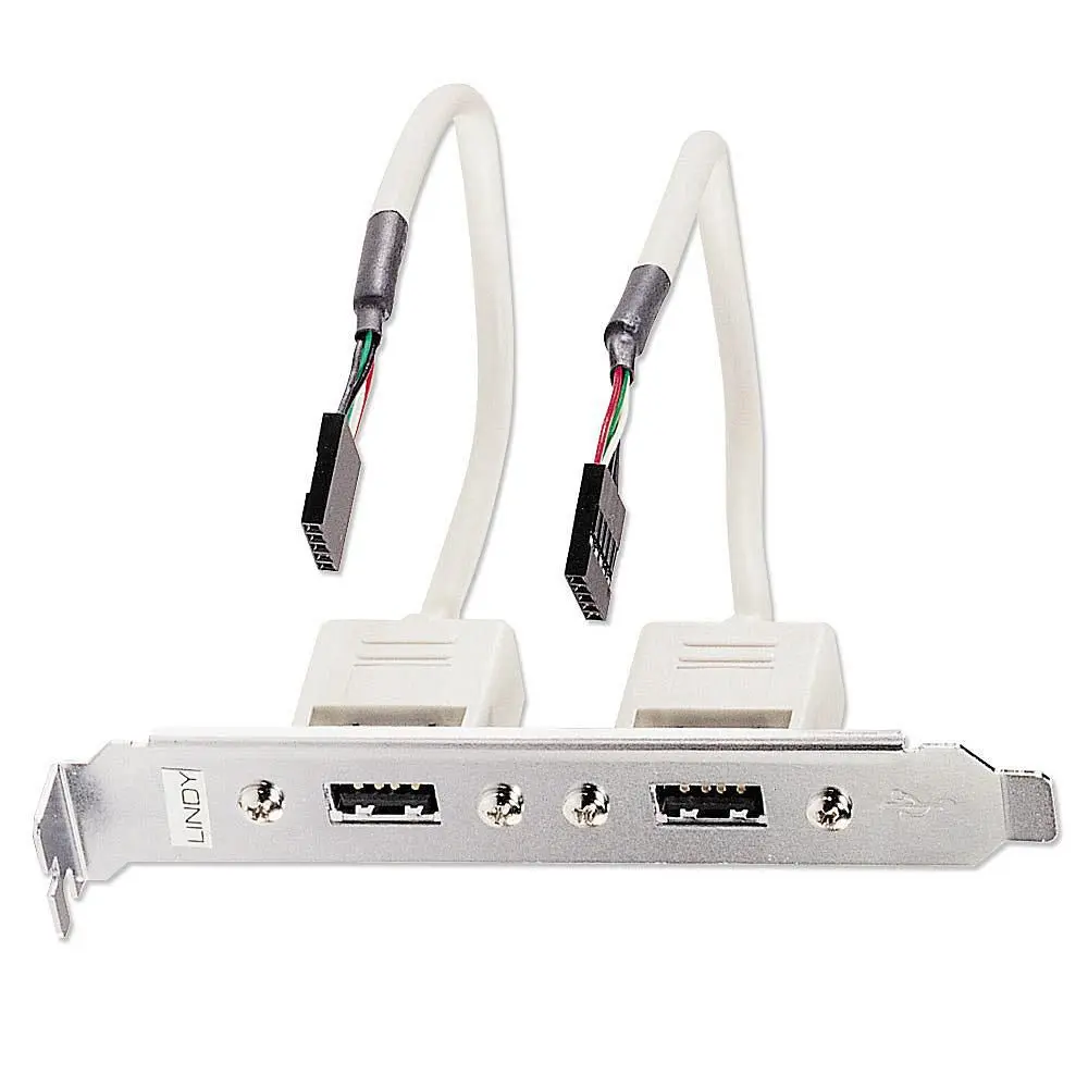 USB aizmugures panelis Lindy 2 Port