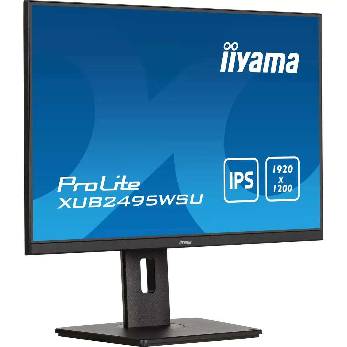 Компьютерный монитор iiyama ProLite XUB2495WSU-B7 Photo 4
