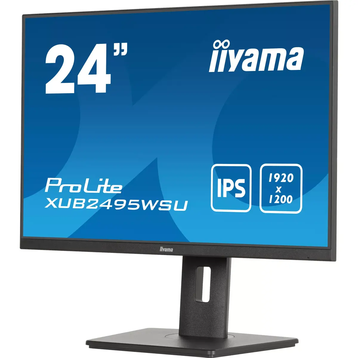 Компьютерный монитор iiyama ProLite XUB2495WSU-B7 Photo 5