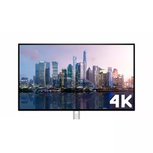 Supports 4 displays