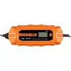 Vehicle Battery Charger NEO tools 11-893-1 Photo 2