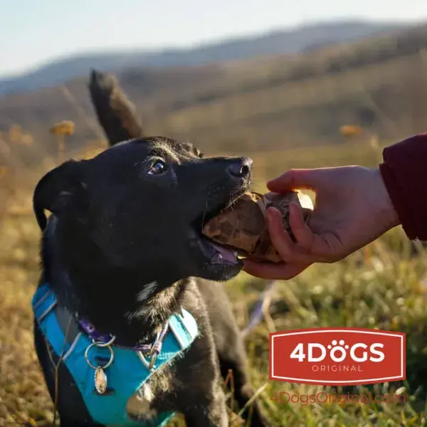 Игрушка-лакомство 4DOGS KORZEN_L — 500 г Photo 4
