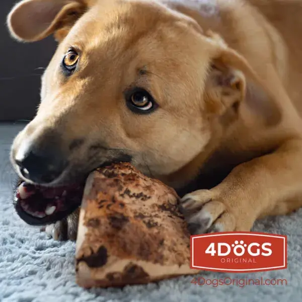 Игрушка-лакомство 4DOGS KORZEN_L — 500 г Photo 5