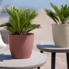 Flowerpot stefanplast Liberty Ø25×23 cm Photo 2