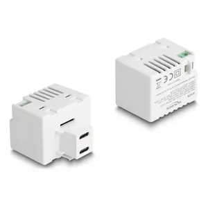 Модуль Keystone DeLOCK 41479 2 x USB Type-C PD 20W Белый