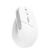 Mouse Trust Bayo II Photo 16