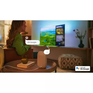 Управление голосом. Работает с Google Assistant* и Alexa.