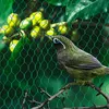 Springos AB0002 Anti-Bird Netting 8x20m Photo 5