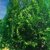 Springos AB0002 Anti-Bird Netting 8x20m Photo 6
