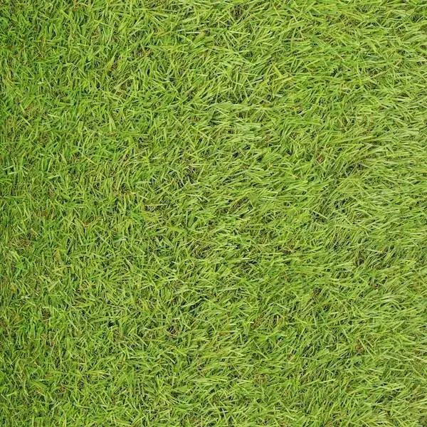 Artificial grass Springos GA0045 1.5×1 m Photo 5