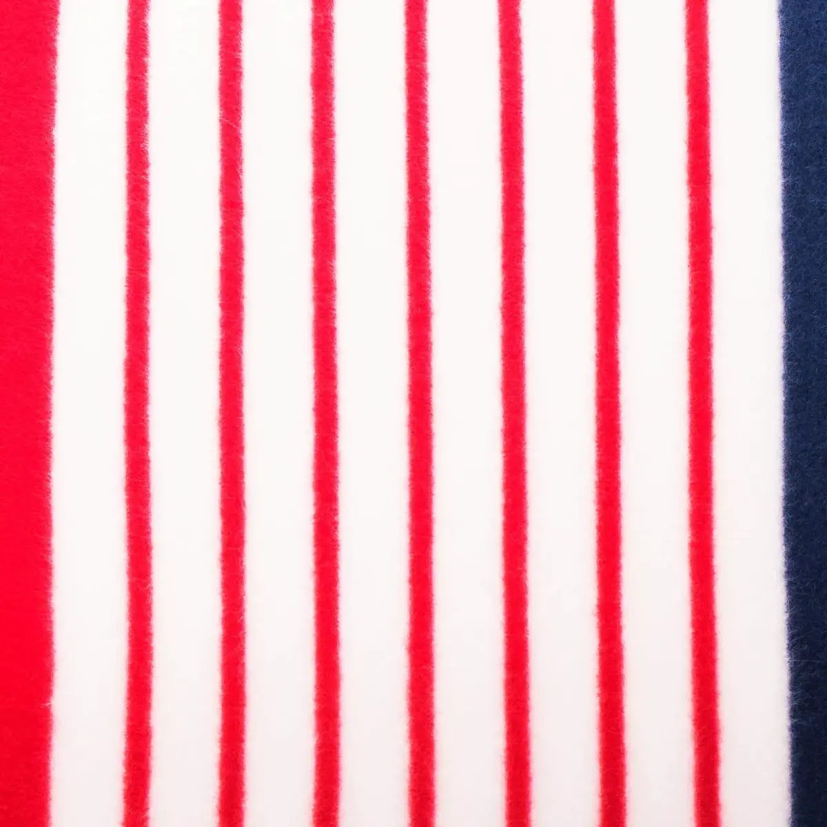Picnic blanket Springos PM006 160x200 cm Photo 4