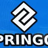 Springos SG0010 Football Goal 240x170 cm Photo 7