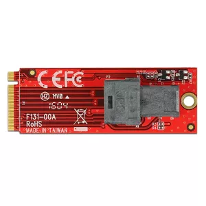 Internal M.2 Adapter DeLOCK 62721