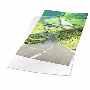 Sheet Protector Durable 247819 A4 Transparent Polypropylene 100 pcs