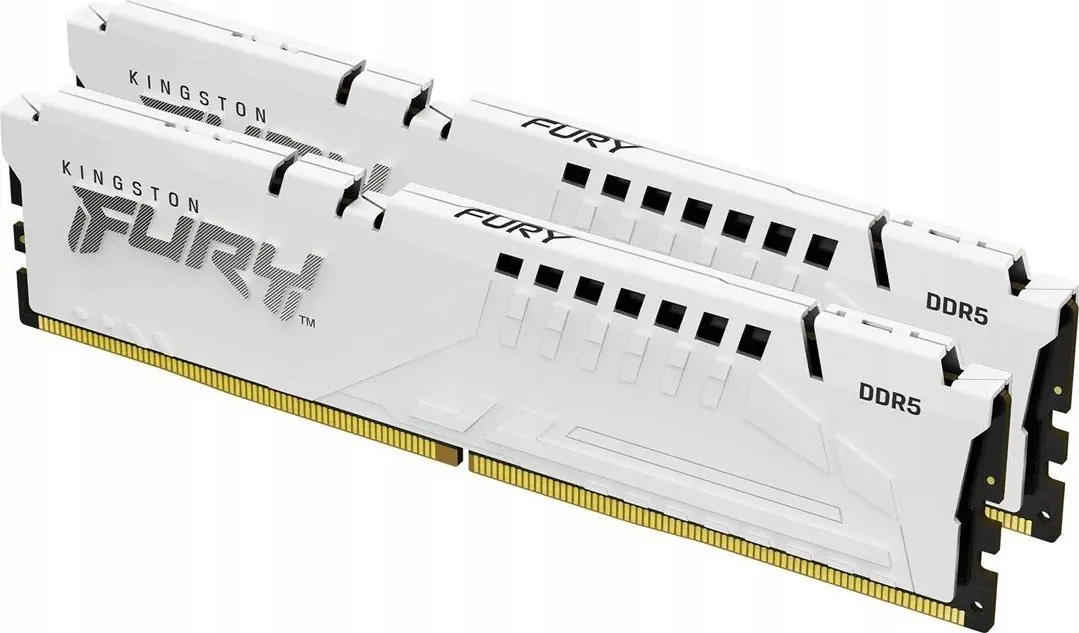 Atmiņas modulis Kingston Technology FURY Beast