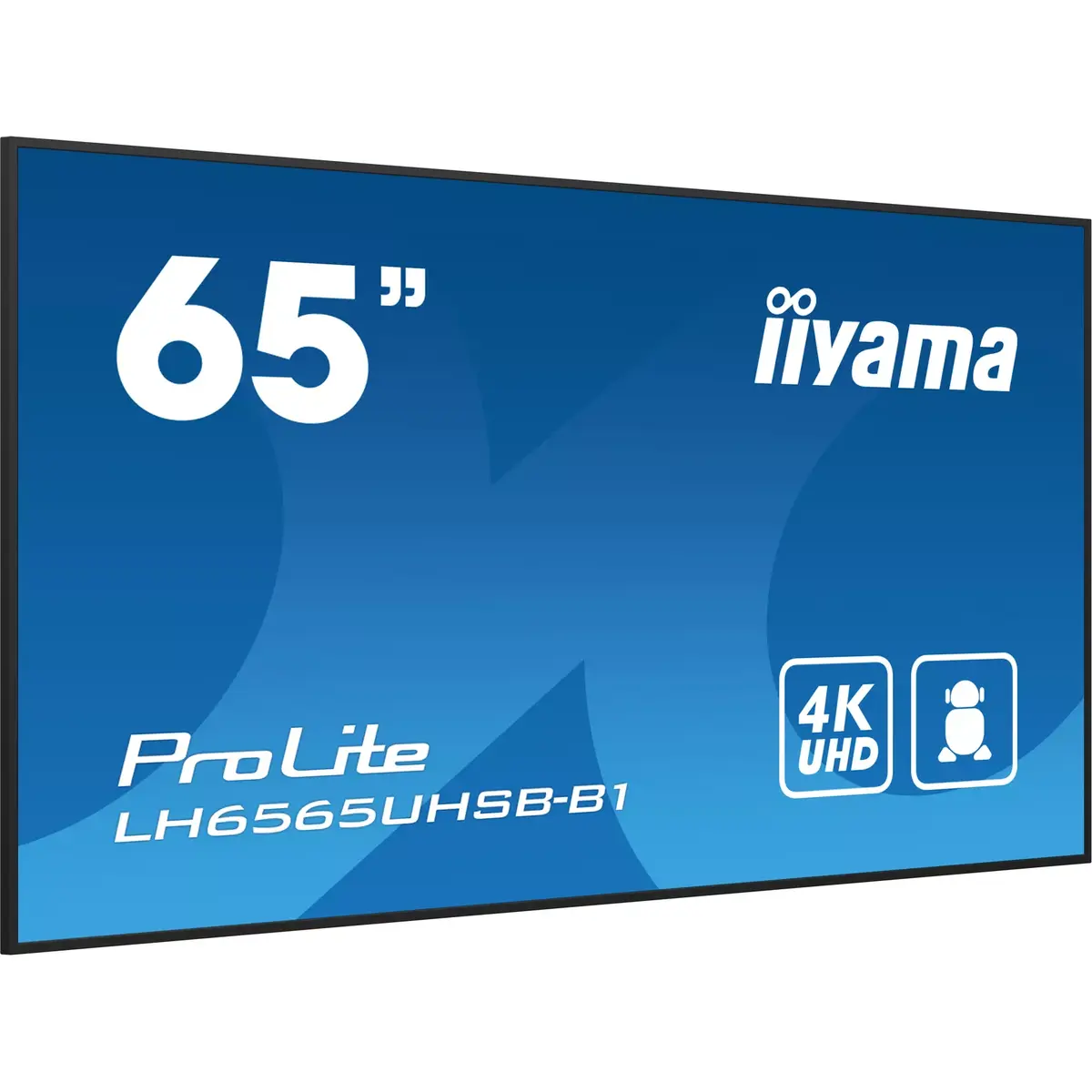 Монитор iiyama LH6565UHSB-B1 Photo 3