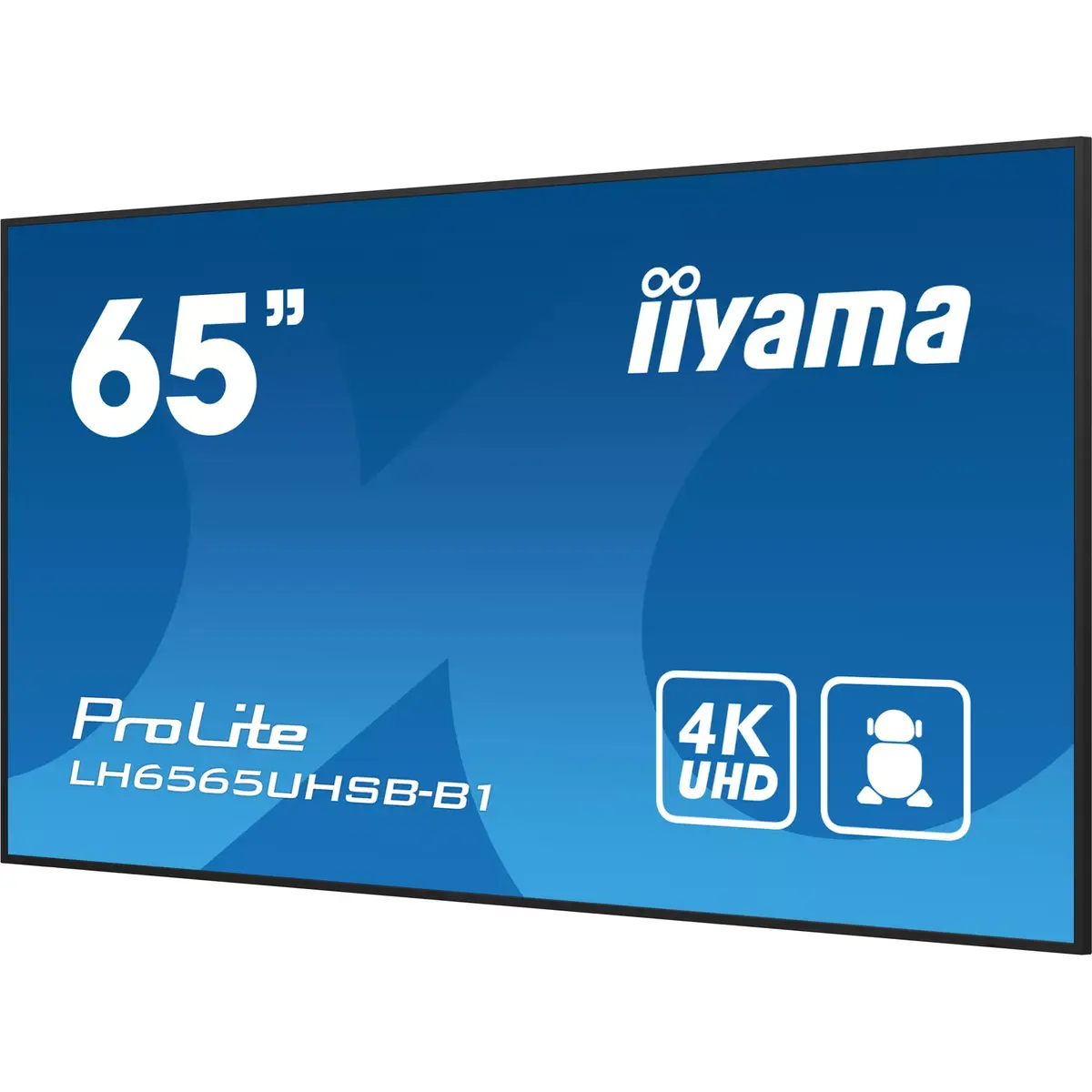 Монитор iiyama LH6565UHSB-B1 Photo 7