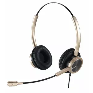 Austiņas WELL Mairdi MRD-809DG