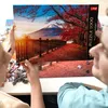 Puzzle TREFL Premium Plus Mount Fuji 1000 Photo 5
