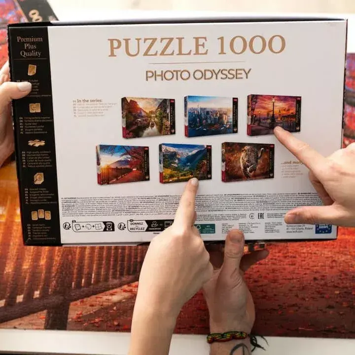 TREFL Premium Plus 1000 gab. puzle — Neuschwanstein pils Photo 5