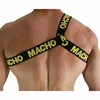 macho underwear D-239966 7808011000568 Photo 2