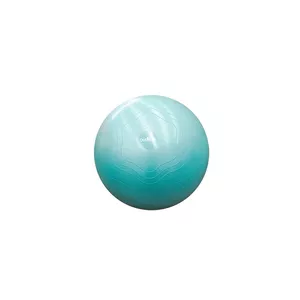 Exercise Ball Sourcing ANTI-BURST LS357865CM 65 cm fitness gym stability