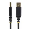 USB to Serial Adapter StarTech.com 13ft 2-Port Photo 4