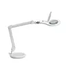 Galda lampa MAUL 8263602 Photo 2